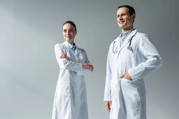 Happy adult doctors looking away on grey — Stock Photo