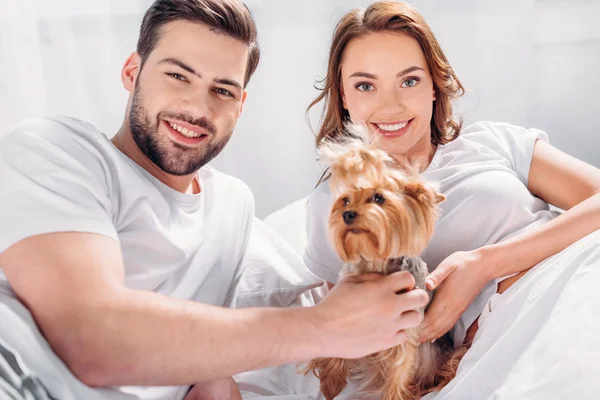 Porträt eines glücklichen Paares, das sich in einen Yorkshire Terrier verliebt, der zusammen im Bett liegt — Stockfoto