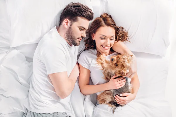 Overhead view of young couple in love with yorkshire terrier lying on bed together — Stock Photo