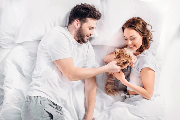 Vue aérienne de jeune couple amoureux de yorkshire terrier couché sur le lit ensemble — Photo de stock