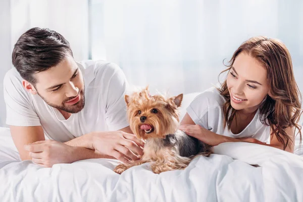 Smiling couple in love with yorkshire terrier resting on bed together — Stock Photo