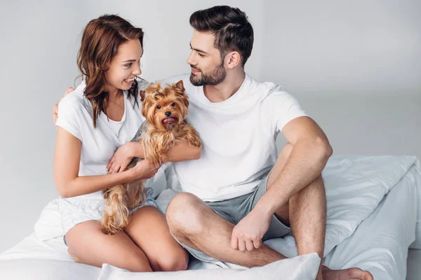 Smiling couple in love with yorkshire terrier resting on bed together isolated on grey — Stock Photo