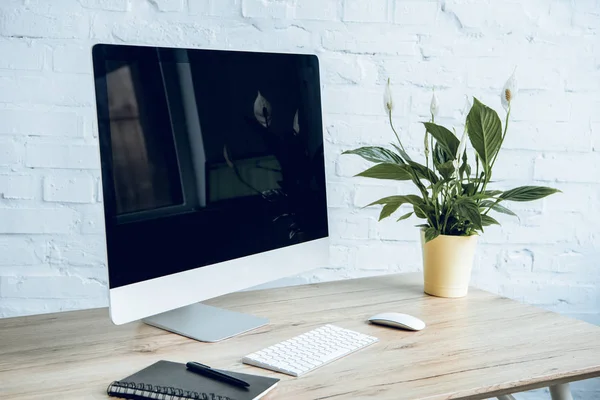 Lugar de trabajo con pantalla de ordenador y planta en la mesa - foto de stock