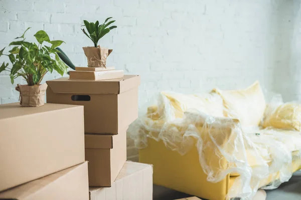 Vue rapprochée des boîtes en carton dans la chambre — Photo de stock