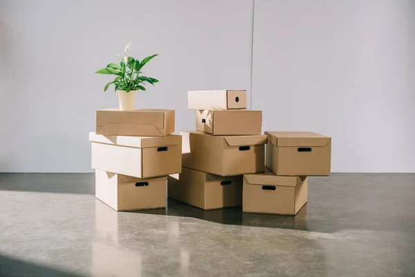 Relocation — Stock Photo