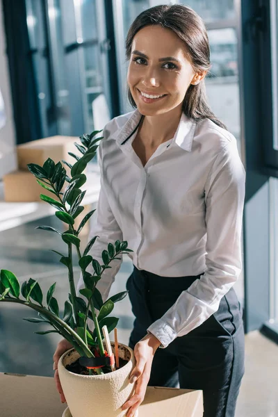 Молодая предпринимательница, держащая горшок с растением и улыбающаяся перед камерой в новом офисе — стоковое фото