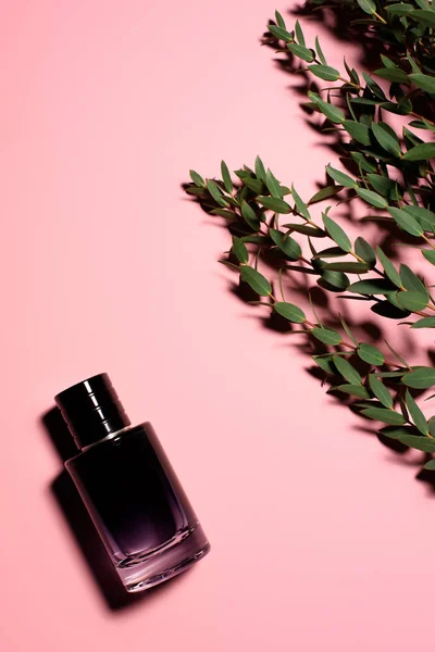 Draufsicht auf Glasflasche mit Parfüm mit grünen Zweigen auf rosa Oberfläche — Stockfoto