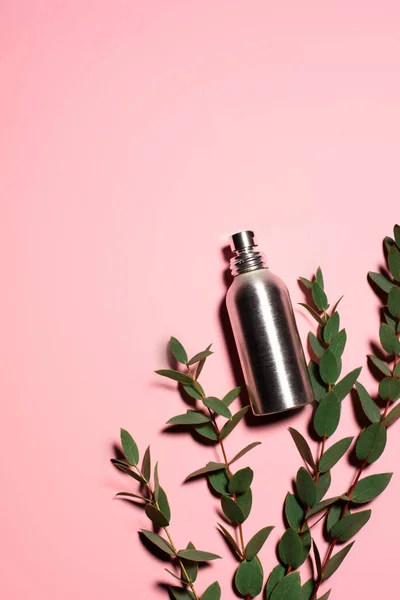 Top view of metal bottle of perfume with green branches on pink surface — Stock Photo