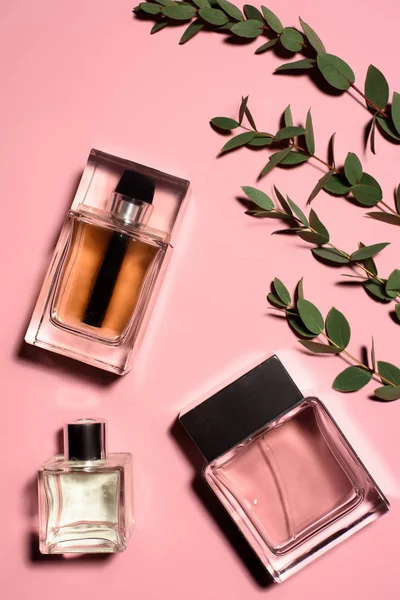 Top view of bottles of perfumes with green branches on pink surface — Stock Photo
