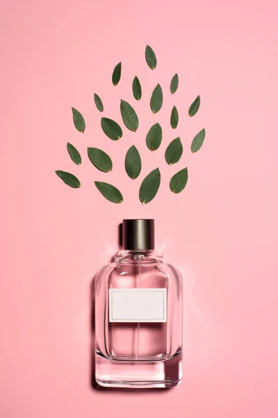 Top view of bottle of aromatic perfume with composed green leaves on pink surface — Stock Photo