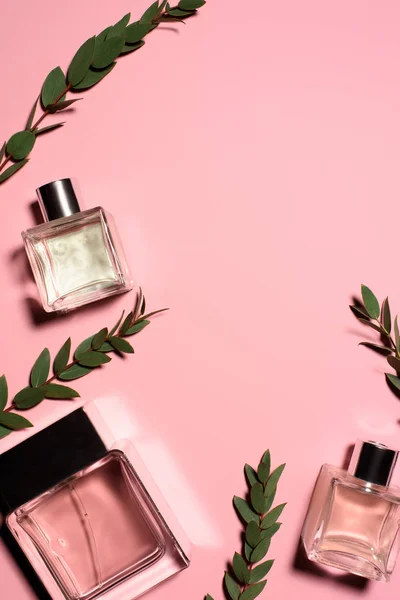 Top view of bottles of perfumes with green branches on pink surface — Stock Photo