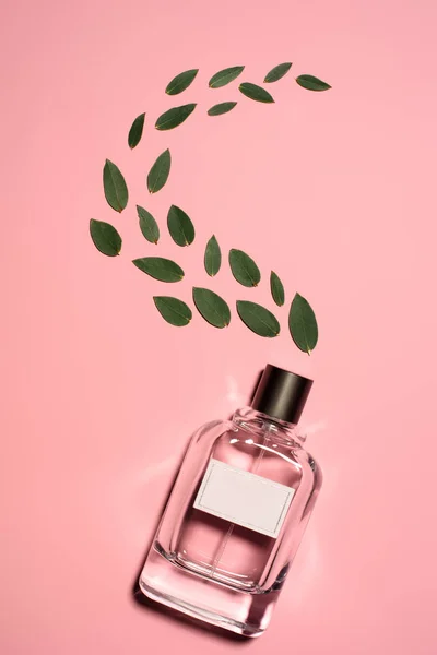 Vista dall'alto della bottiglia di profumo con foglie verdi composte su superficie rosa — Foto stock