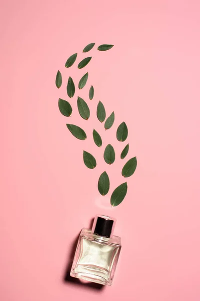 Top view of glass bottle of perfume with composed green leaves on pink surface — Stock Photo