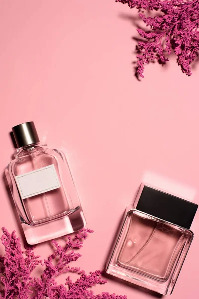 Vista dall'alto di bottiglie di profumi con rami rosa sulla superficie rosa — Foto stock