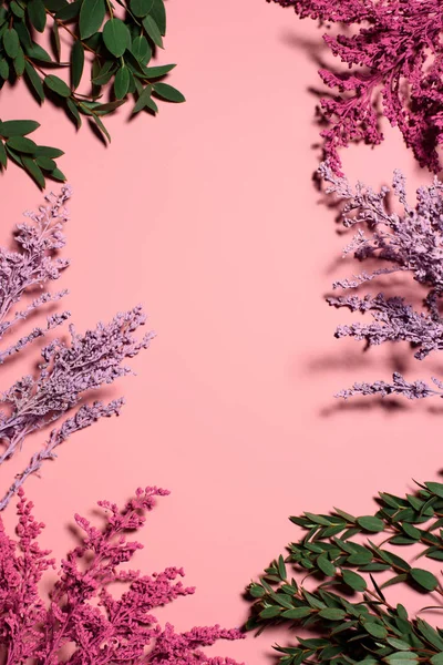 Vue de dessus du cadre des fleurs et des branches sur le dessus de table rose — Photo de stock