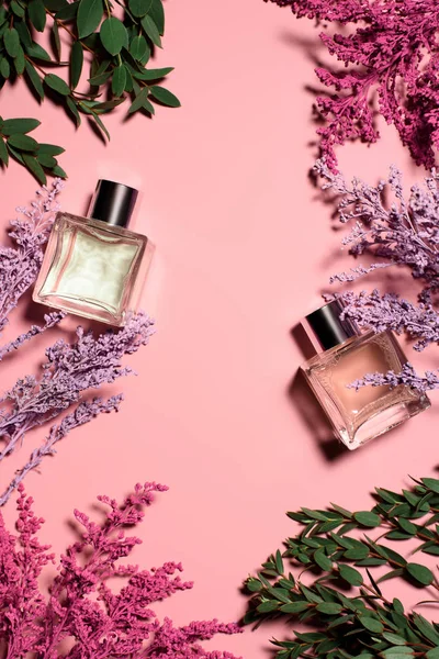 Top view of glass bottles of perfumes with flowers on pink surface — Stock Photo