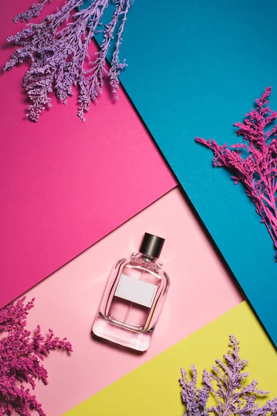 Vista superior da garrafa de perfume com ramos roxos na superfície colorida — Fotografia de Stock