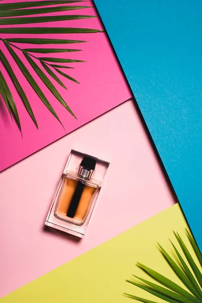 Vista dall'alto di bottiglia di profumo su superficie colorata con foglie di palma — Foto stock