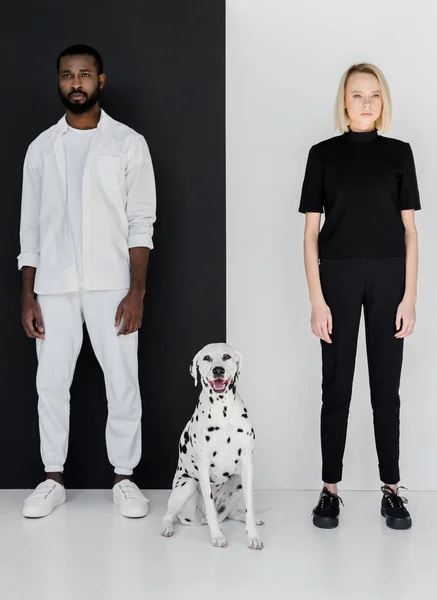 Copain afro-américain et petite amie debout avec chien dalmate près mur noir et blanc — Photo de stock