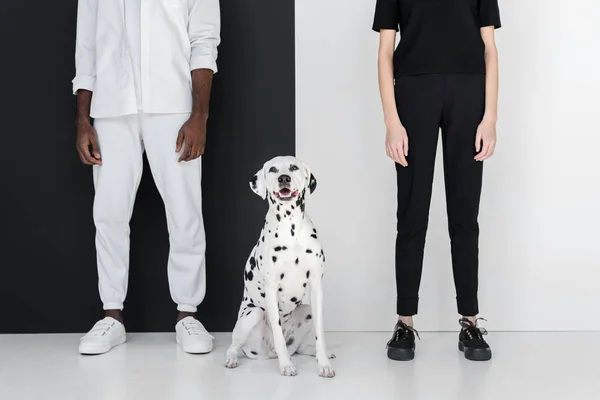 Immagine ritagliata di fidanzato africano americano e fidanzata in piedi con cane dalmata vicino alla parete in bianco e nero — Foto stock