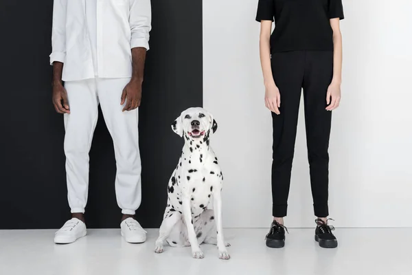 Image recadrée de copain afro-américain et sa petite amie debout avec chien dalmate près du mur noir et blanc — Photo de stock