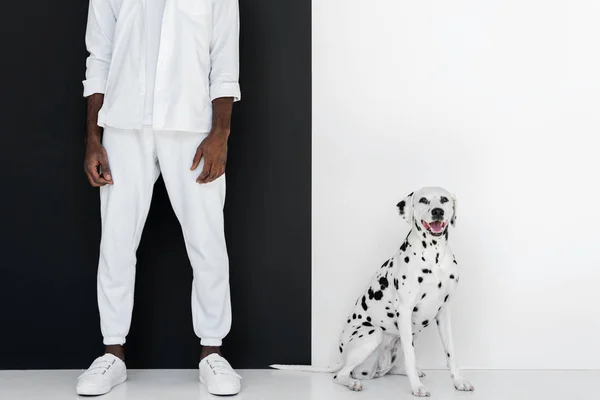 Image recadrée de l'homme afro-américain élégant en vêtements blancs avec chien dalmate près du mur noir et blanc — Photo de stock