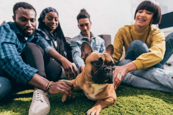 Gros plan de bulldog français et groupe d'amis multiculturels — Photo de stock