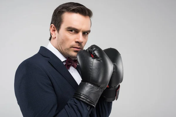 Handsome man in suit and boxing gloves, isolated on grey — Stock Photo