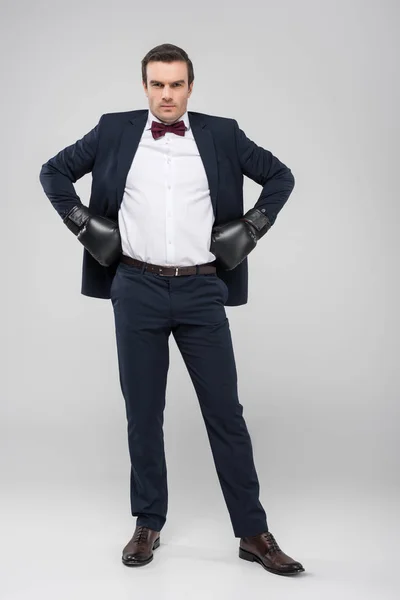 Handsome groom posing in tuxedo and boxing gloves, isolated on grey — Stock Photo