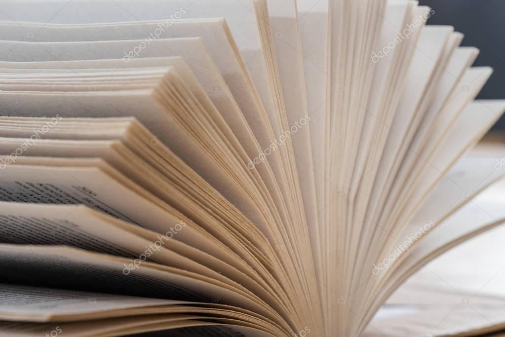Close up view of old paper pages of opened book