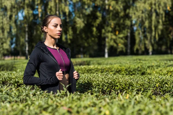 Mujer en forma caminando por el parque — Foto de stock gratuita