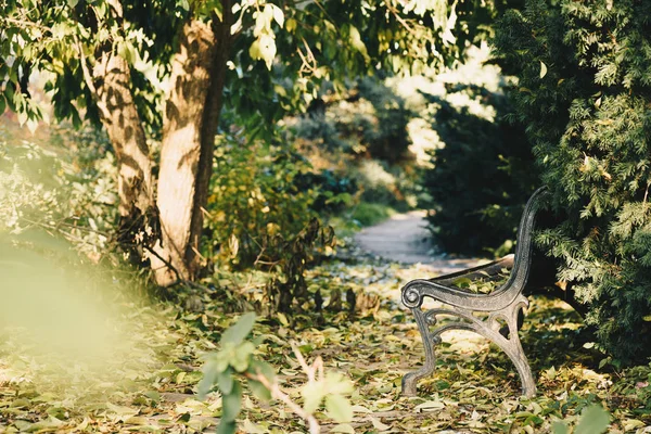 Bench az őszi parkban — Stock Fotó