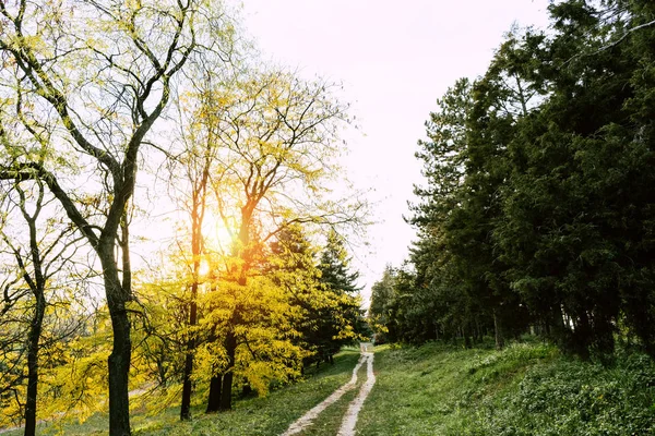 Sentier pédestre dans le parc d'automne — Photo