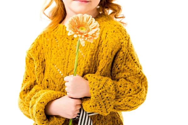 Oříznutý Obraz Dítěte Drží Květinu Izolované Bílém — Stock fotografie