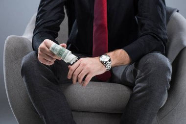 Koltukta, otururken elinde, para tutan işadamı midsection gri izole