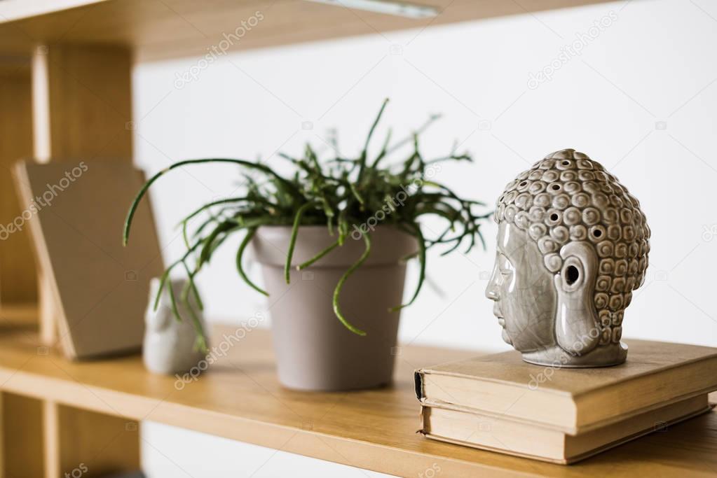 close up view of books and plant in flowerpot on wooden bookshelf 