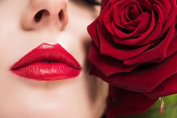 Image Recadrée Fille Sensuelle Touchant Visage Avec Rose Rouge Concept — Photo gratuite