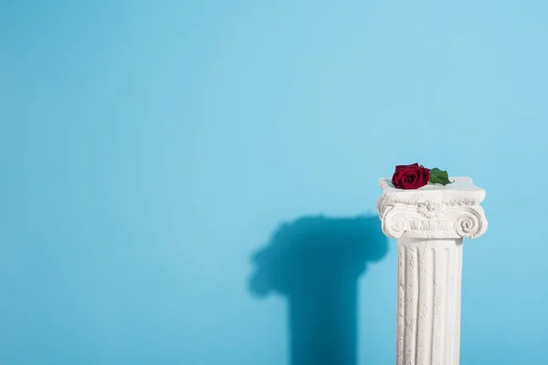 One red rose on white column on blue — Stock Image One Red Rose White Column Blue Royalty Free Stock Images