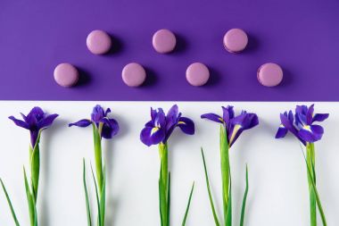 Iris çiçekler mor ve beyaz yüzey üzerinde lezzetli macaron kurabiyeyle düz yatıyordu bileşimi