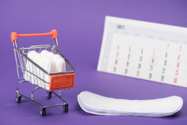 küçük alışveriş sepeti, günlük gömlekleri ve mor takvimde tampon