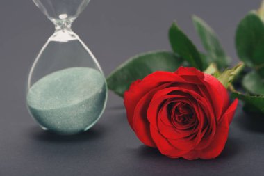 güzel kırmızı gül çiçek ve kum saati yakından görmek Grey