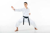 férfi karate harcos póz elszigetelt fehér állandó