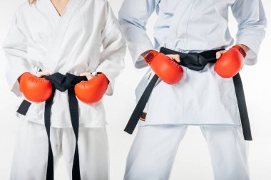 cropped image of karate fighters with black belts and red gloves isolated on white clipart