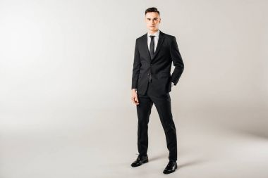 ayakta ve kameraya gri görünümlü yakışıklı işadamı