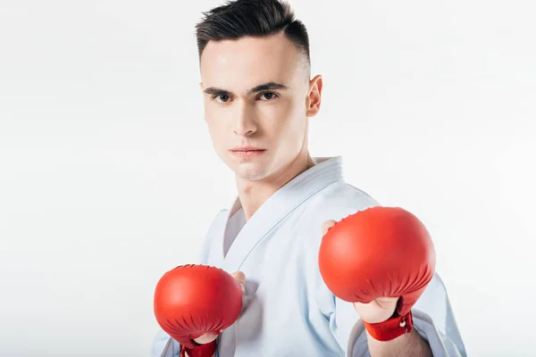 Luchador Karate Masculino Con Guantes Rojos Aislados Blanco — Foto de stock gratis