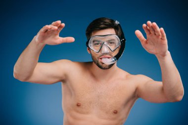 handsome shirtless young man in snorkel and diving mask swimming and looking at camera on blue  clipart
