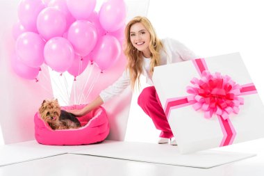Blonde woman in pink clothes surprised by Yorkshire terrier in gift box isolated on white clipart