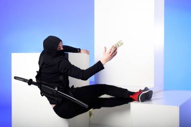 Ninja siyah giyim izole mavi beyaz bloklar Doları banknot yakalama