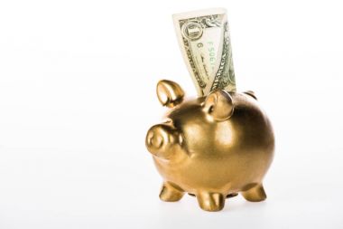 Altın kumbara ve Doları banknot üzerinde beyaz izole yakından görmek