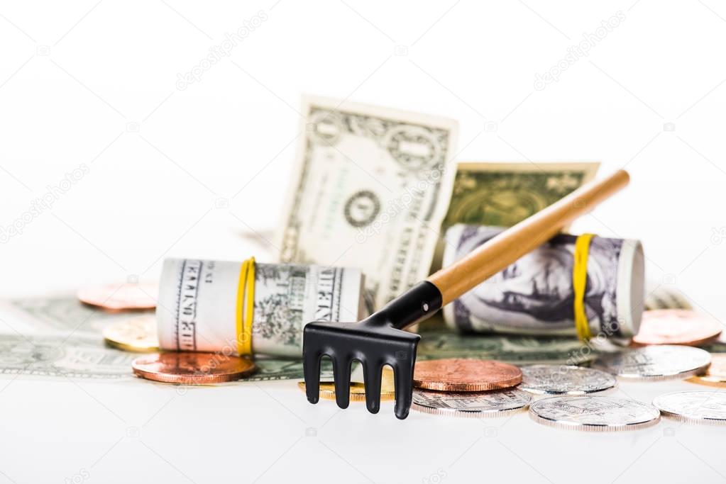 close-up view of rakes, coins and dollar banknotes isolated on white
